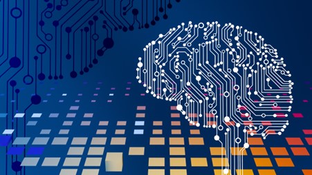 circuit board brain